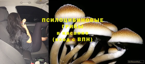 MDMA Дмитриев