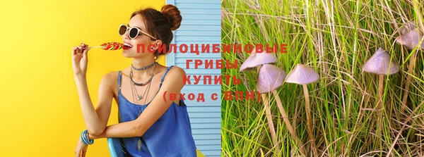 MDMA Дмитриев