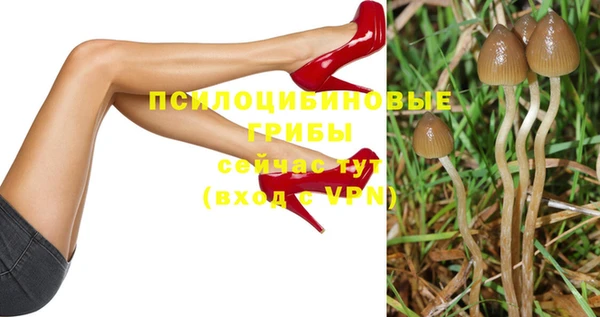 первитин Дмитровск
