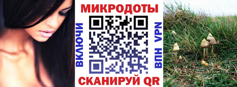 Купить где Звенигород Галлюциногенные грибы Cubensis